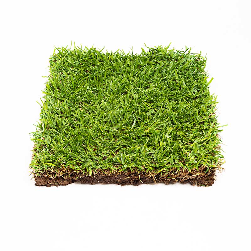 Shop Instant Lawn & Turf Varieties Melbourne | Instant Lawn