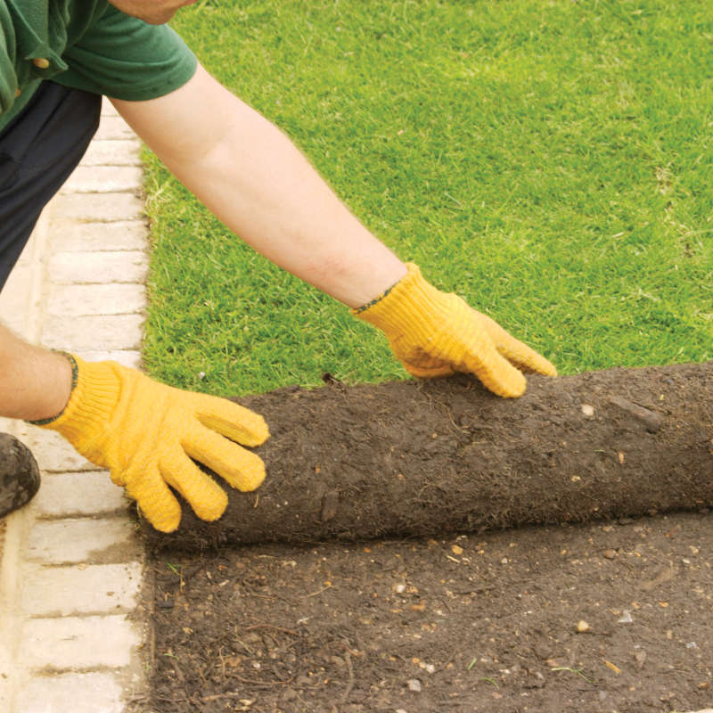 Shop Instant Lawn & Turf Varieties Melbourne | Instant Lawn